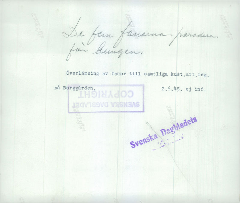 Swedish military regements - Vintage Photograph