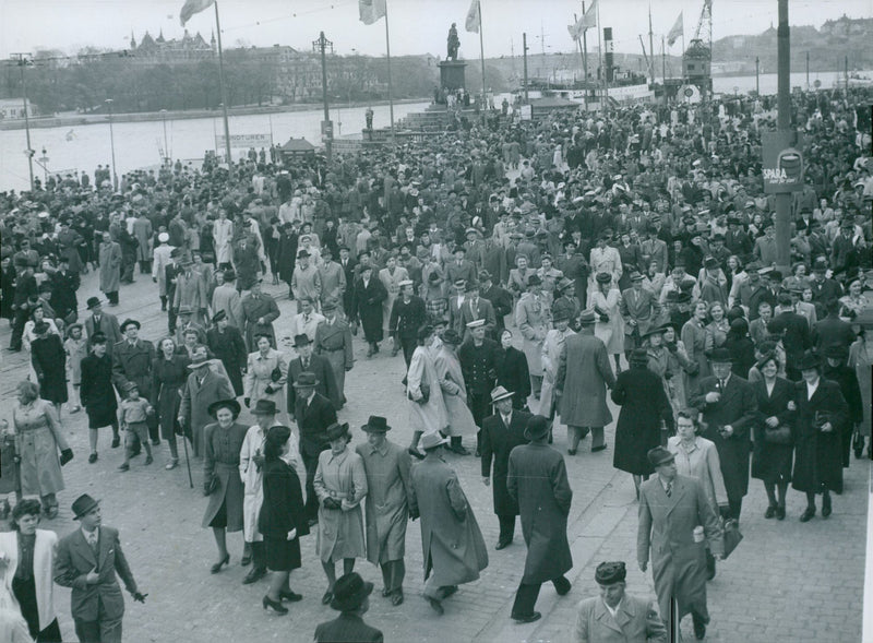 Swedish Military Army - Vintage Photograph