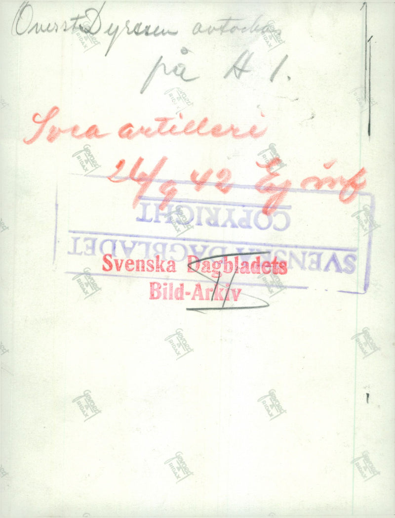 Swedish Military Army - Vintage Photograph