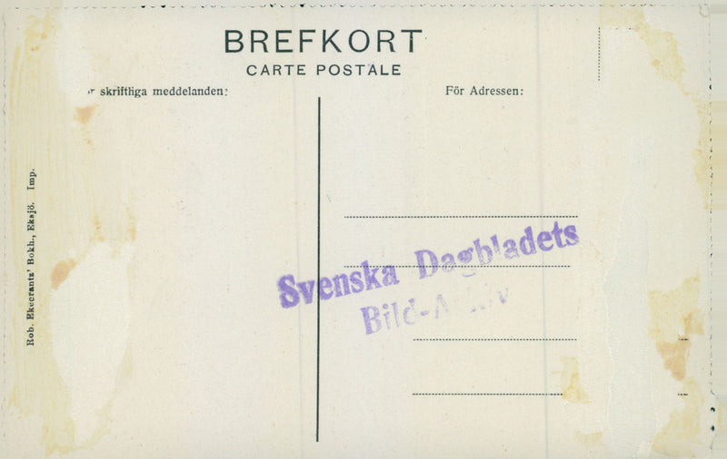 Swedish military regements - Vintage Photograph