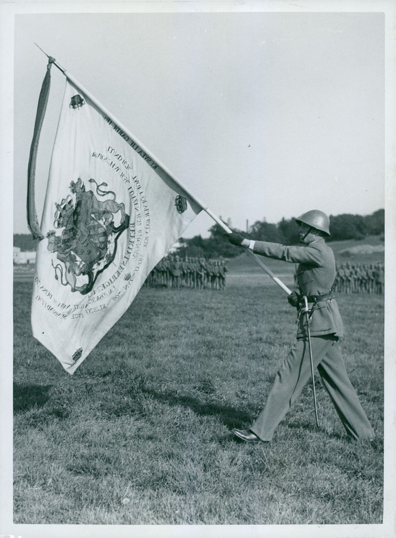 Swedish military regements - Vintage Photograph