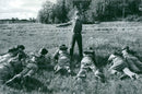 Swedish Military Service - Vintage Photograph