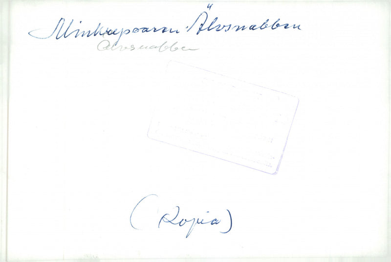 Minsveparen Ãlvsnabben out on mission. - Vintage Photograph