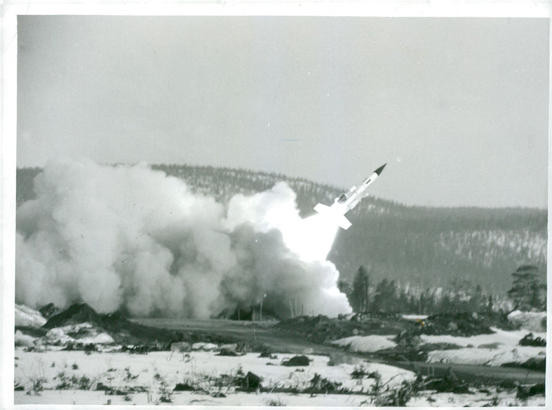 BLOODHOUND - Vintage Photograph