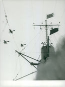 Aircraft flying over the ship during the aviation maneuver in 1932. - Vintage Photograph