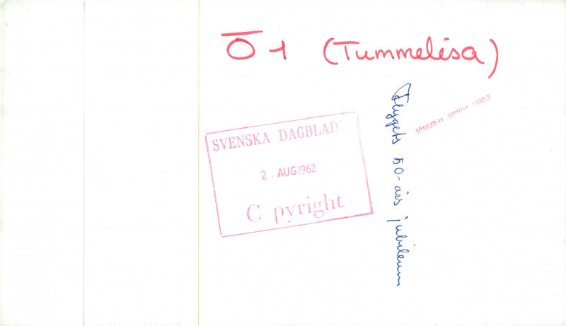 Ã1 Tummelisa during the flight day. - Vintage Photograph