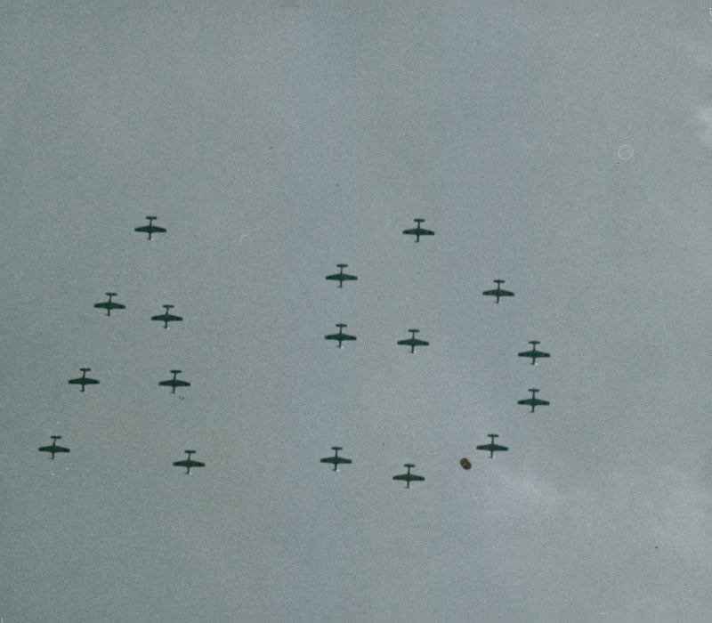 Svenska Flygets Dag - Vintage Photograph