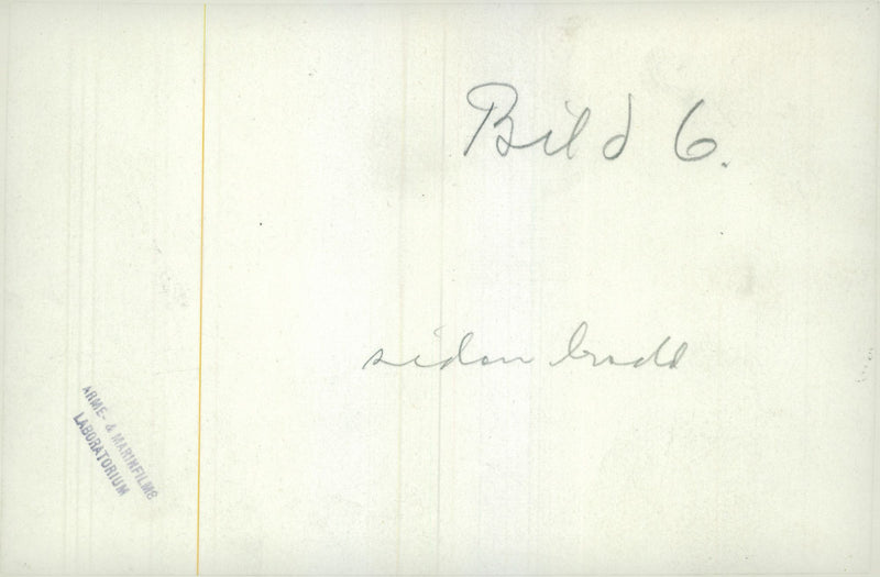 Aerial photographs of sliuett in the air by the Swedish Aero Jaktfalken J6 - Vintage Photograph