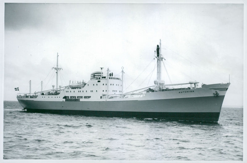 M / S Antonia on the spin of the Ãresunds course.. - Vintage Photograph