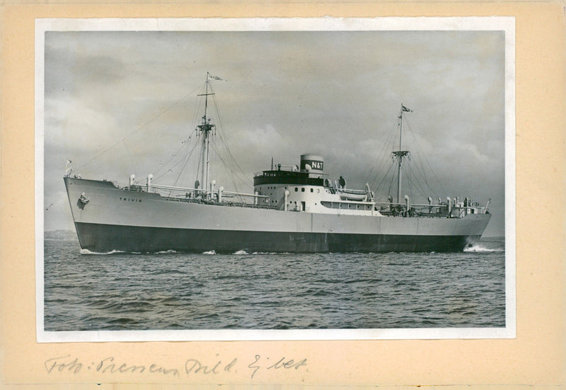 M / S trivia - Vintage Photograph