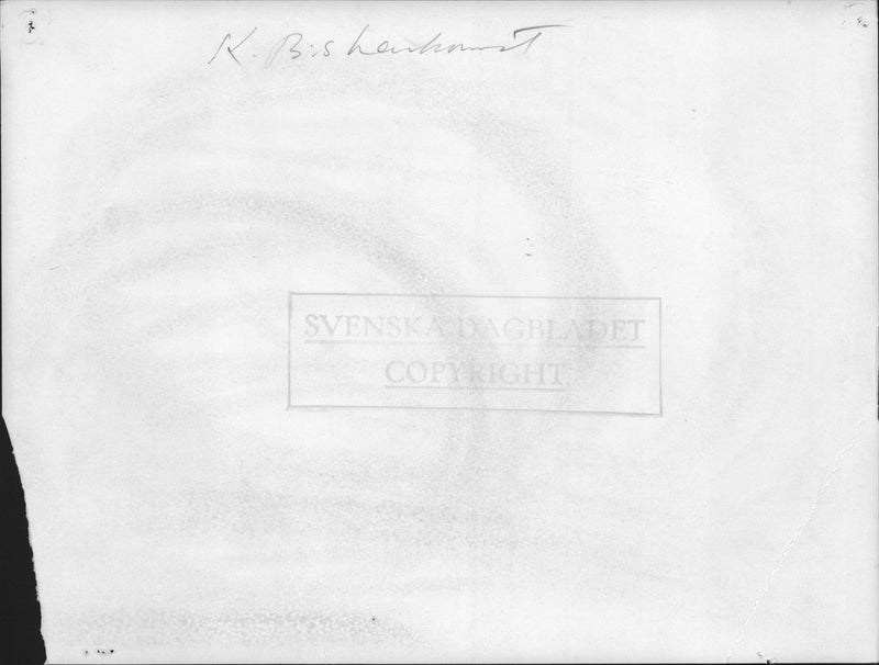 Kurt BjÃ¶rkvalls homecoming after Atlantic Flight - 14 October 1936 - Vintage Photograph