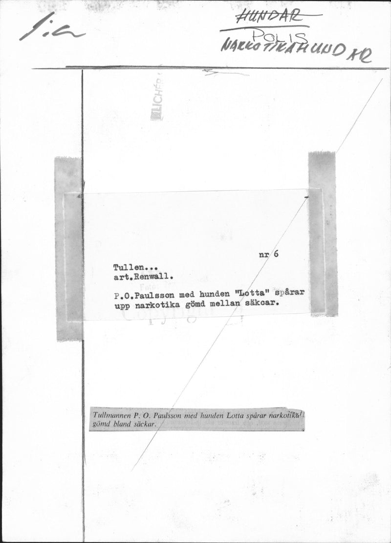 Drug searching dog and customs police - Vintage Photograph