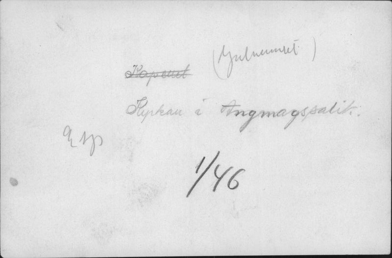 Ahrensbergs Greenland expedition 1931 - Vintage Photograph