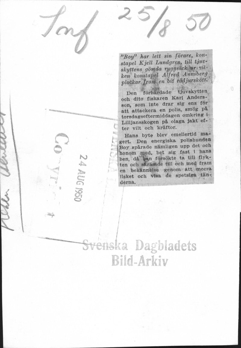 Police Dog Boy led his handler, Officer Kjell Lundgren, the poacher - Vintage Photograph