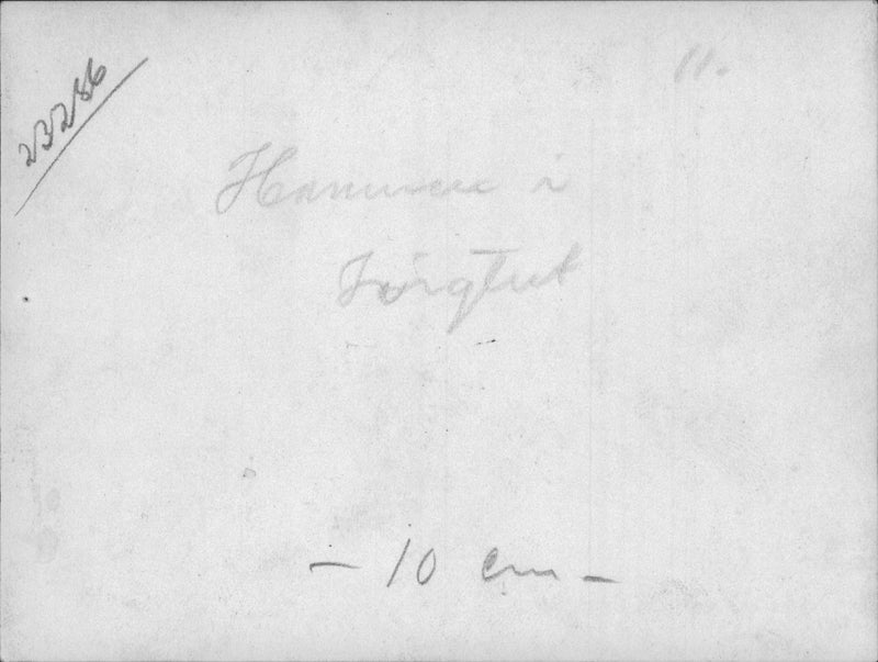 Ahrensbergs Greenland expedition 1931 - Vintage Photograph