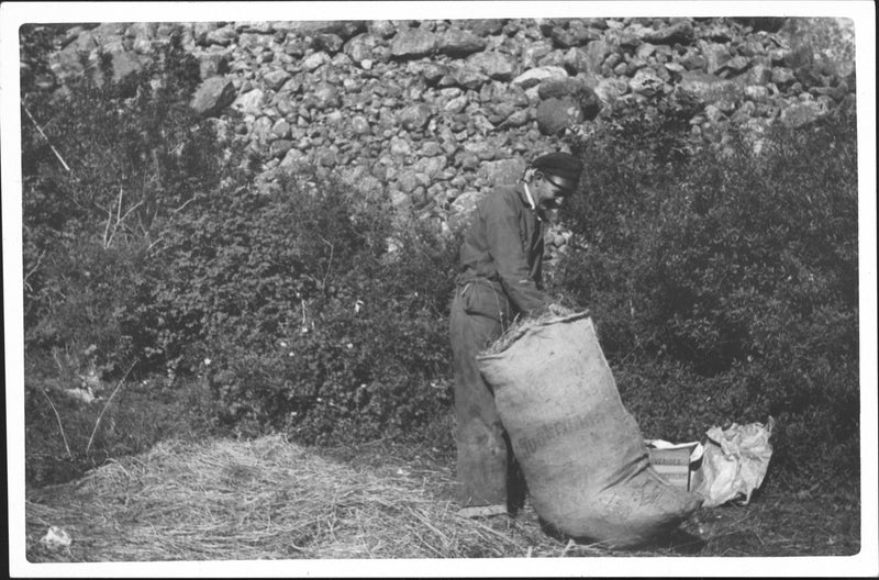 Ahrensbergs Greenland expedition 1931 - Vintage Photograph