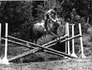 Equestrian pentathlon at the Olympic Stadium in Stockholm, Peter Schroeder - Vintage Photograph