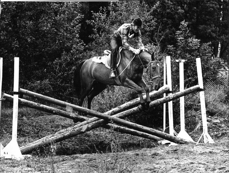 Equestrian pentathlon at the Olympic Stadium in Stockholm, Peter Schroeder - Vintage Photograph