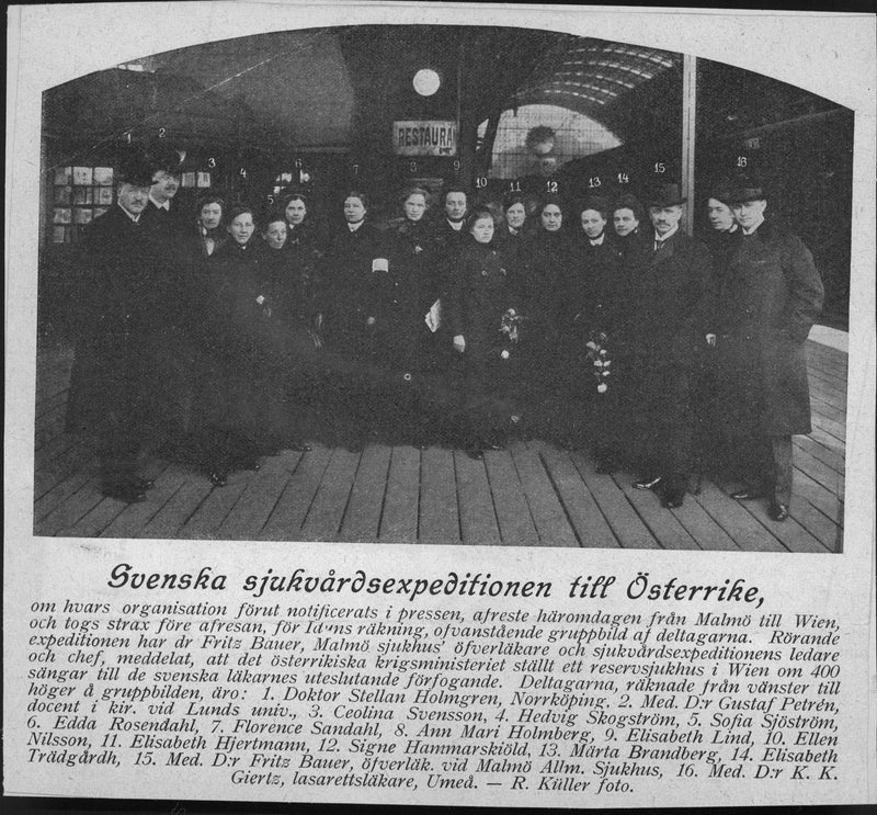 Newspaper clippings on the Swedish medical expedition on the Red Cross to Austria. - Vintage Photograph