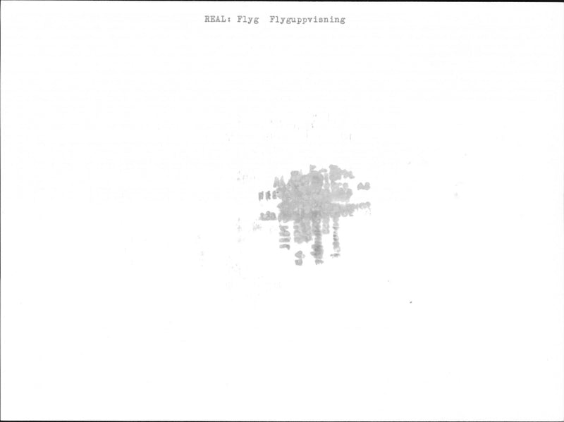 Four aircraft at flight show - Vintage Photograph