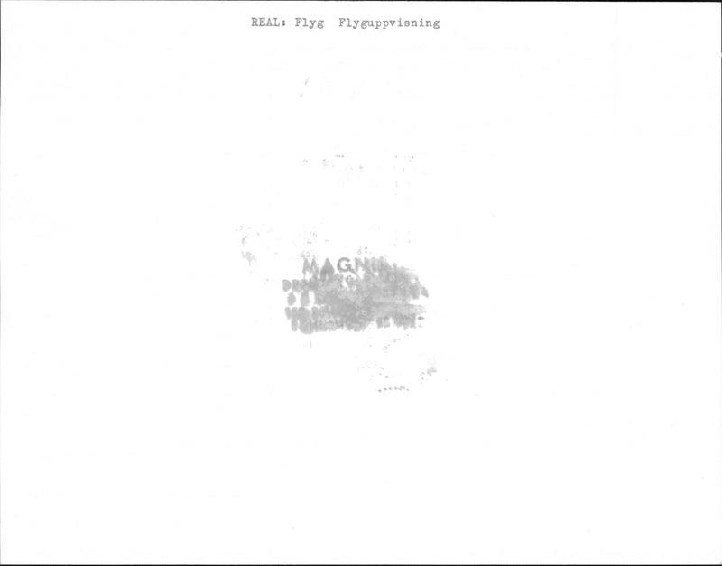 Flight Airshow - Vintage Photograph