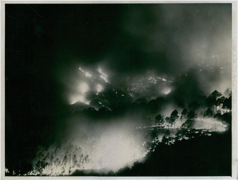 Giant forest fire photographed from airplane - 30 June 1937 - Vintage Photograph