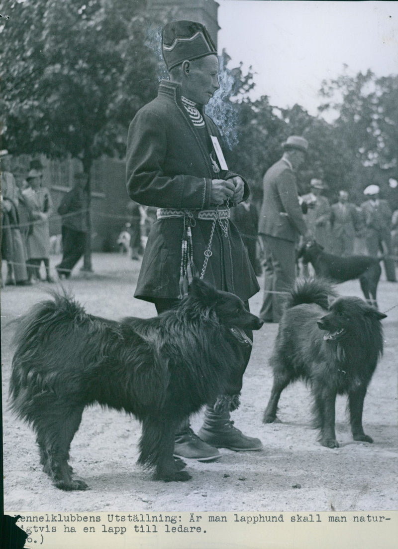 Patch with a patch dog at Kennel Club show - 4 June 1939 - Vintage Photograph