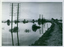 Flooded landscape - 9 June 1938 - Vintage Photograph