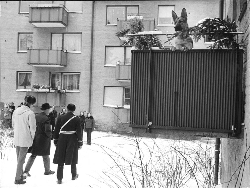 Murder in Högdalen. - Vintage Photograph