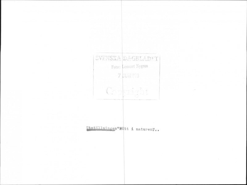 The exhibition "The right of nature" - Vintage Photograph