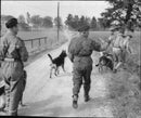 Police call-up with police dogs after two missing boys found dead off the cliff in southern Sweden. - Vintage Photograph