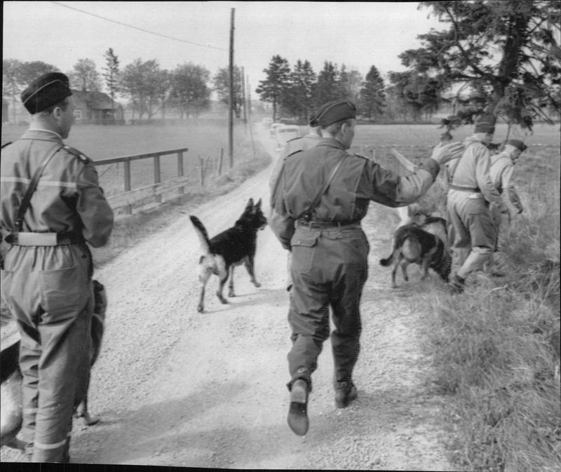 Police call-up with police dogs after two missing boys found dead off the cliff in southern Sweden. - Vintage Photograph