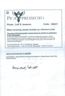 Lech Walesa, Queen Silvia and King Carl Gustaf at dinner in the Concert Hall - Vintage Photograph