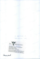 Queen Elizabeth, Queen Silvia, King Carl Gustaf, Grand Duchess Josephine-Charlotte of Luxembourg with Grand Duke Jean of Luxembourg - Vintage Photograph