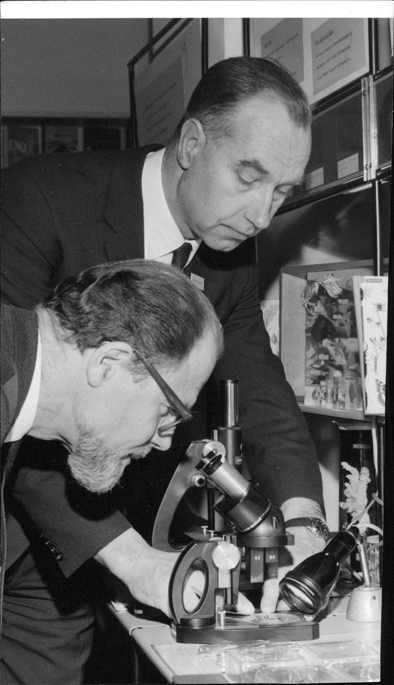 Teaching Council Beskow view the wonders of nature in a microscope, the lecturer Boierth attending preparation - Vintage Photograph