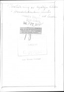 A dog outside Jacob&