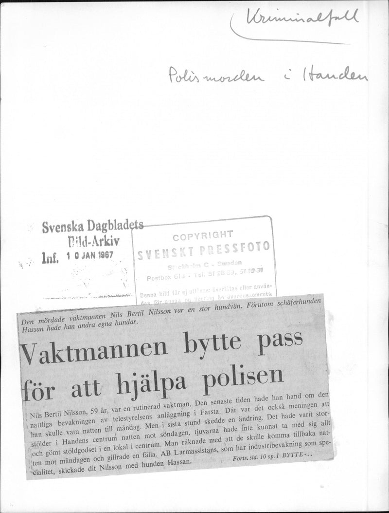 The assassinated guardian Nils Bertil Nilsson was a big dog friend. In addition to the schäferhund Hassan he had other own dogs. - Vintage Photograph