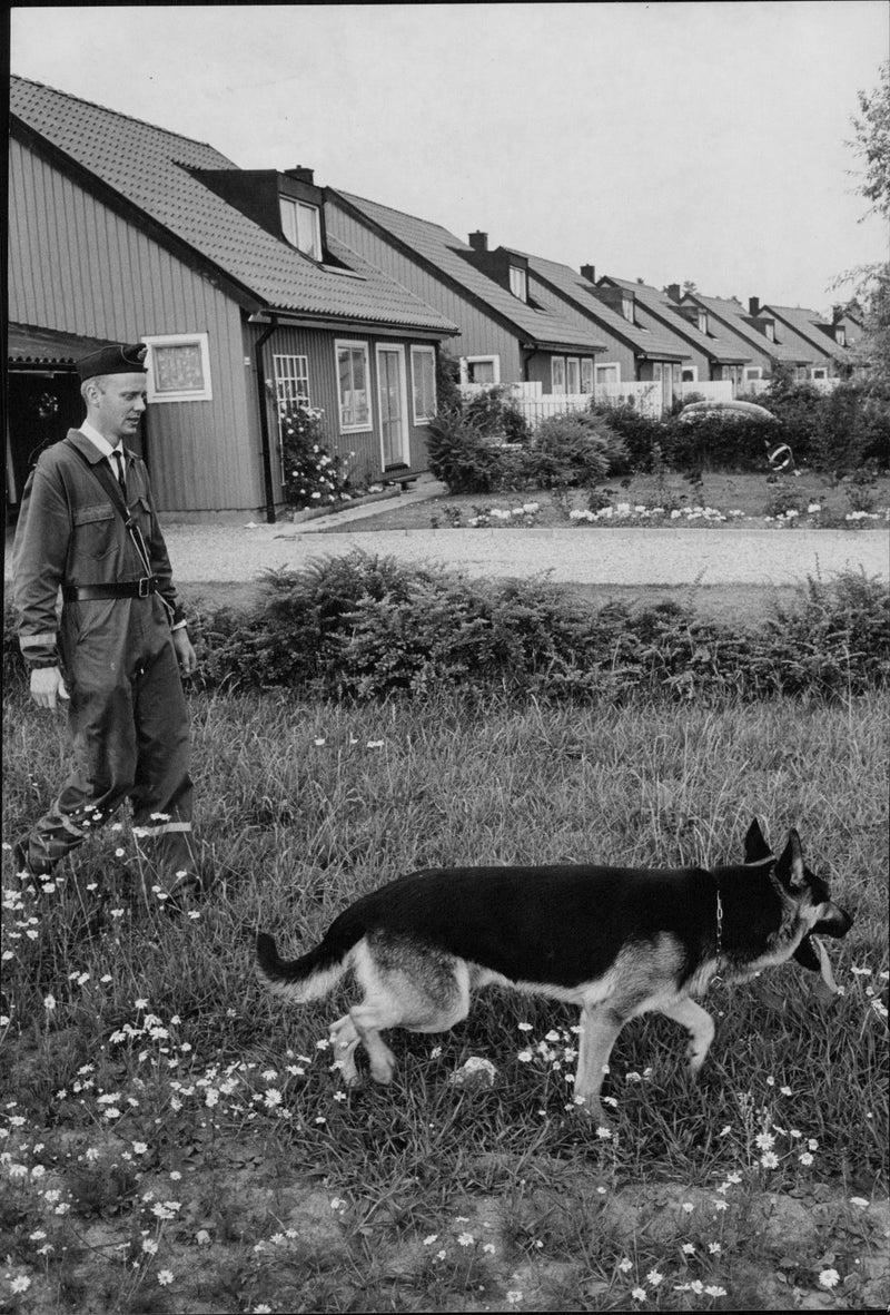 Policeman Jerker Söderblom dog Rick on reconnaissance in the area after the murder in Täby. - Vintage Photograph