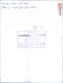 Carl Gustaf fly viggen during his military service - Vintage Photograph