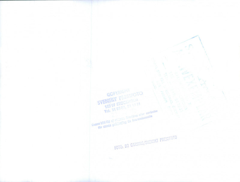 King Gustav VI Adolf photographed in beautiful nature. - Vintage Photograph