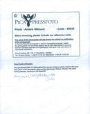 The royal family's Christmas photography at Stockholm Castle - Vintage Photograph