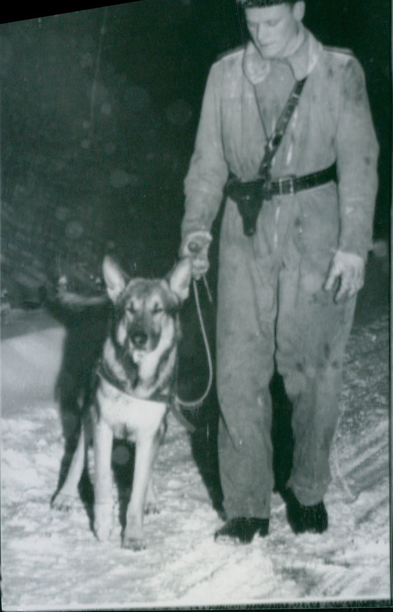 After the murder of the taxi driver was a large number of police officers and sniffer dogs into spotting the killer. - Vintage Photograph