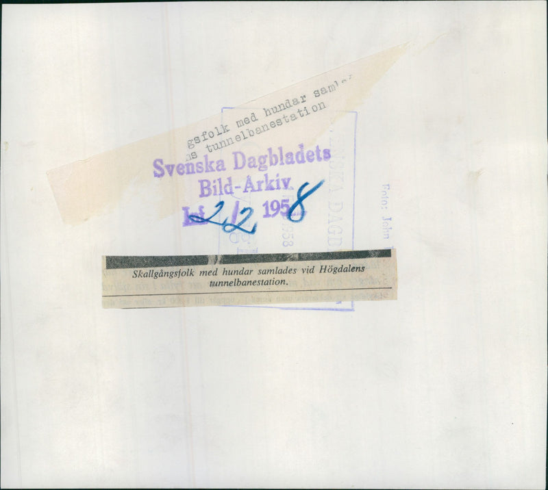 People search party with dogs gathered at Högdalens subway station. - Vintage Photograph