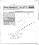 Prime Minister Tage Erlander and merchant Wilhelm Josephson at the Swedish wholesale League annual meeting at the Stockholm Concert Hall - Vintage Photograph