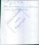 The murdered fisherman Sven Sjölander with wife died - Vintage Photograph