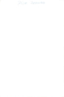 The Duchess of Gloucester arrives at the Greek queen's 50th birthday - Vintage Photograph