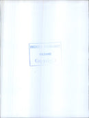 Russian diplomats holidaymakers with the vessel Beloostrov - Vintage Photograph