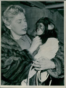 This year's expo tropical bird on Osterman also shows a youthful chimpanzee and other tropical animals - Vintage Photograph