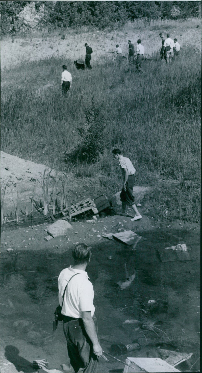 Police officers with sniffer dogs can search party in the wooded area at Albysjön in connection with the murder of Kerstin Blom. - Vintage Photograph