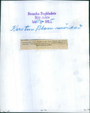 The murdered Kerstin Blom found. Upper constable Otto Wendel was called to the place - Vintage Photograph